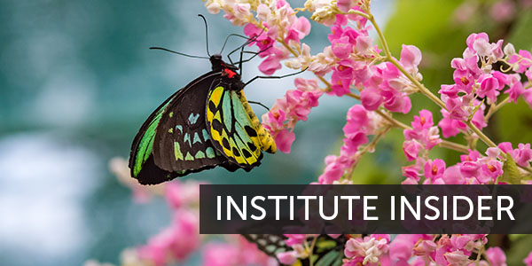 Institute Insider