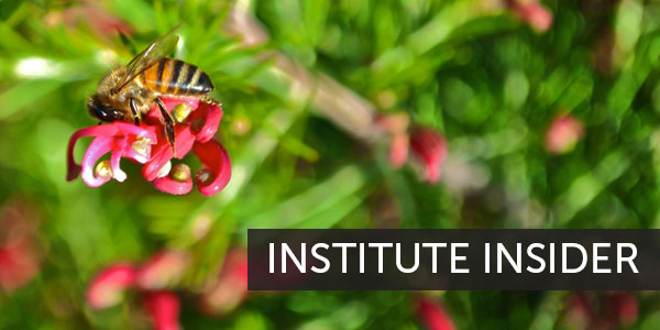 Institute Insider