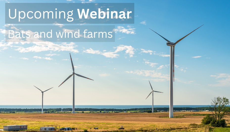 Webinar 3 in the Wind Farm Series | Bats and Wind Farms: European ...